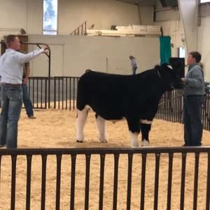 Meet your Posher, Gage